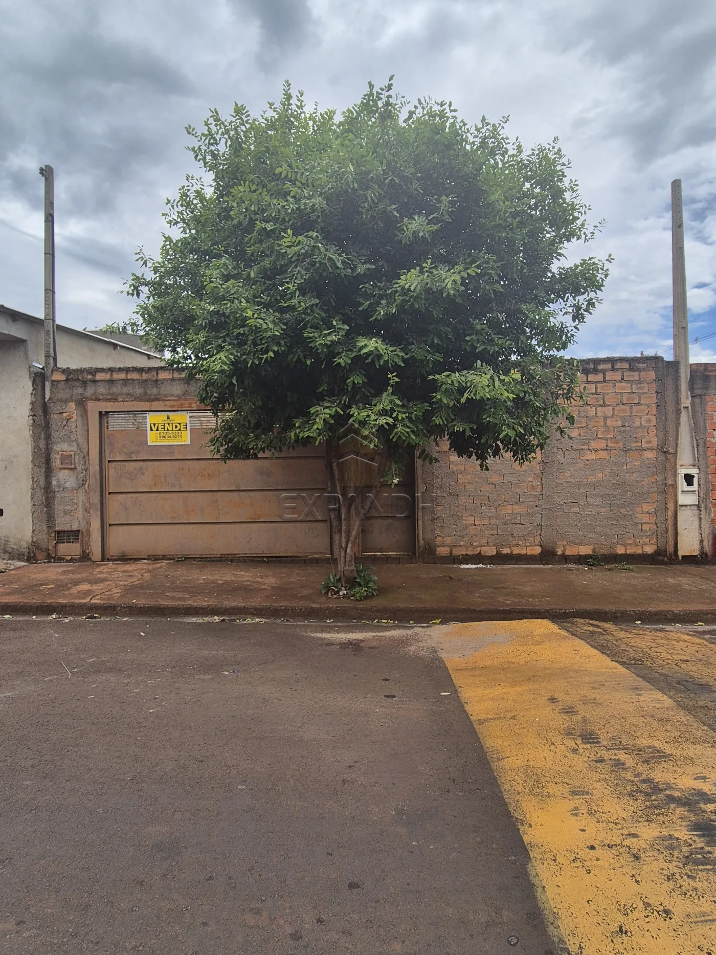 Comprar Terrenos / Padr&atilde;o em Sert&atilde;ozinho R$ 150.000,00 - Foto 1