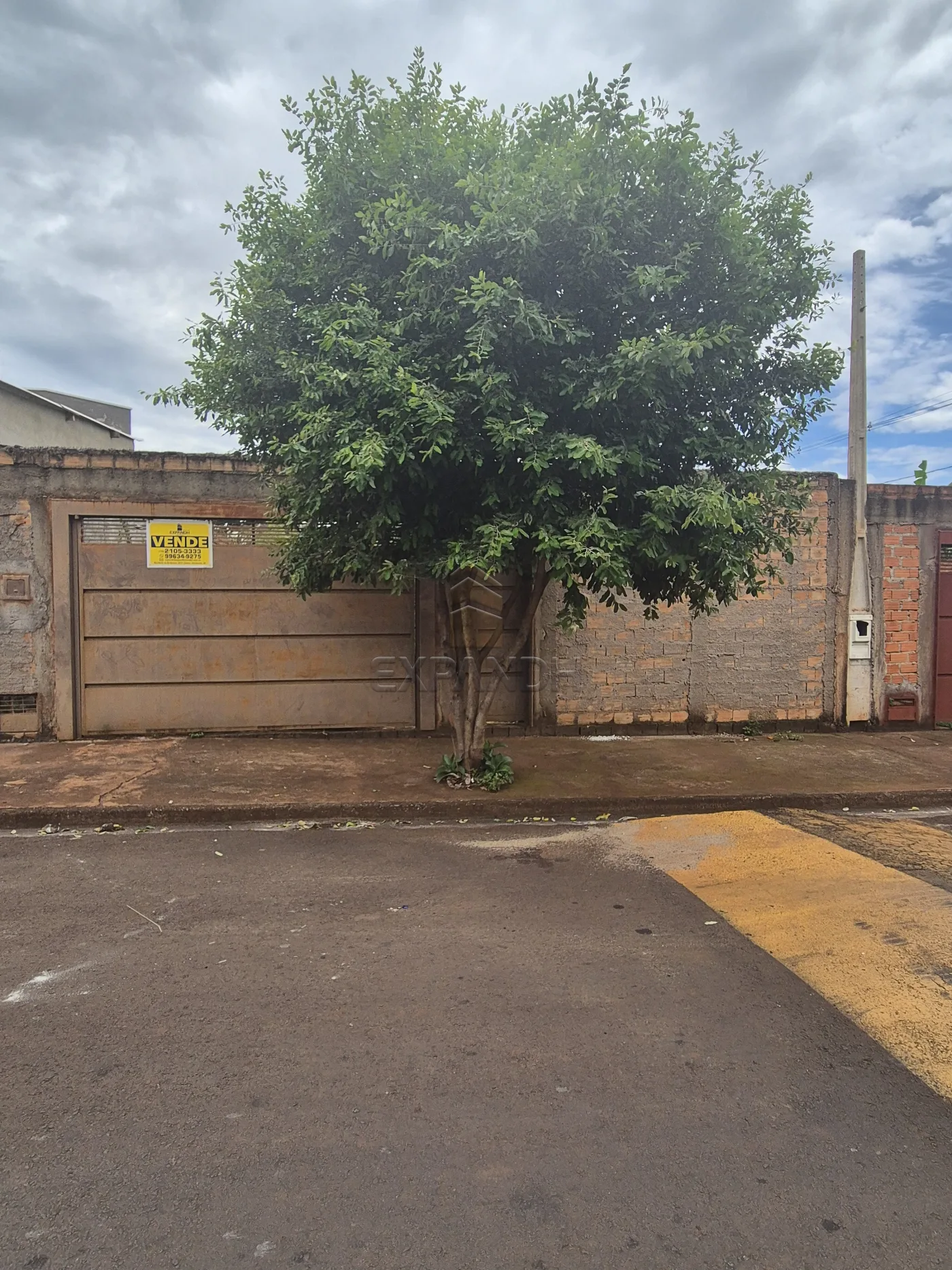 Comprar Terrenos / Padr&atilde;o em Sert&atilde;ozinho R$ 150.000,00 - Foto 2