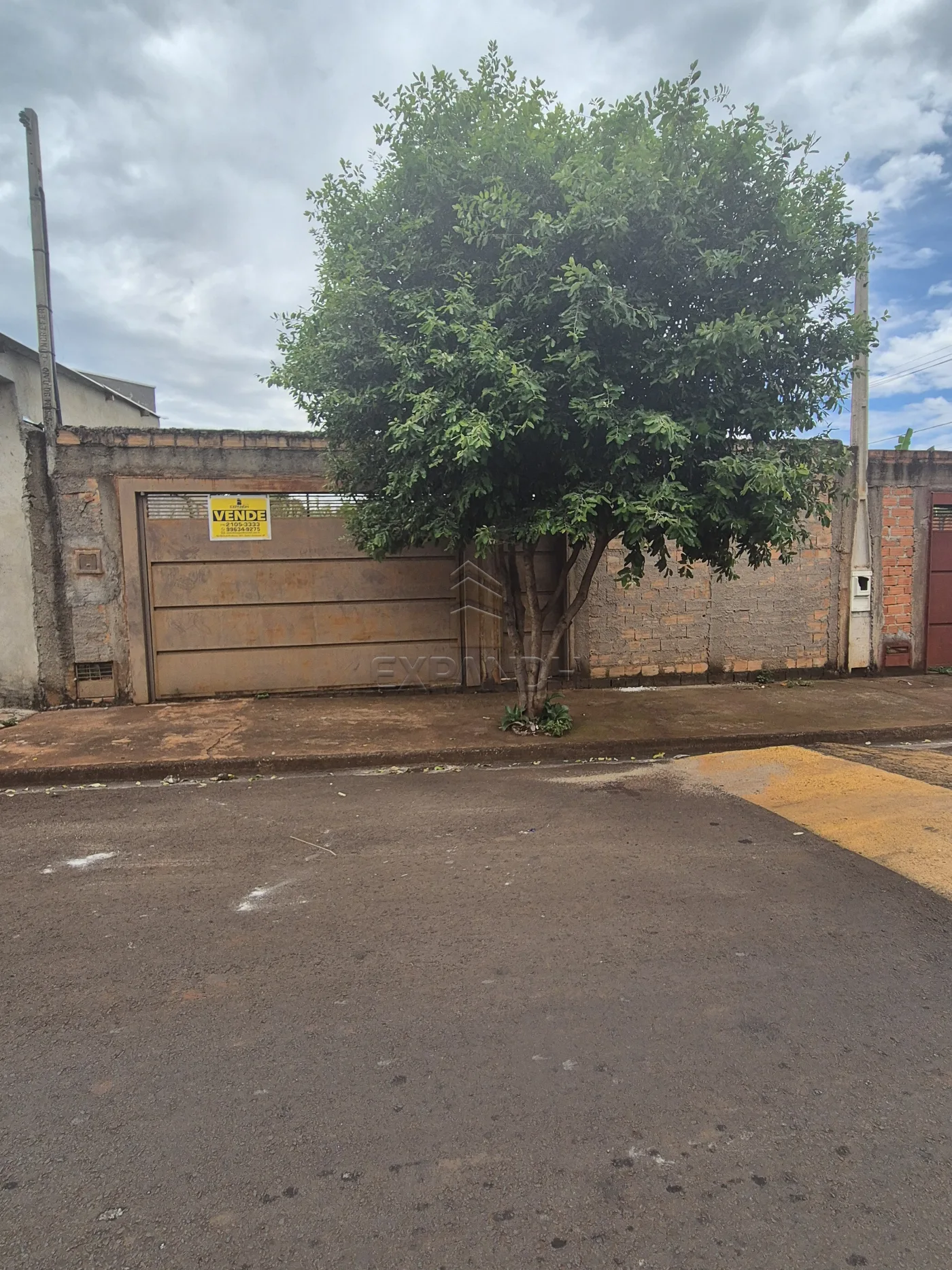 Comprar Terrenos / Padr&atilde;o em Sert&atilde;ozinho R$ 150.000,00 - Foto 3