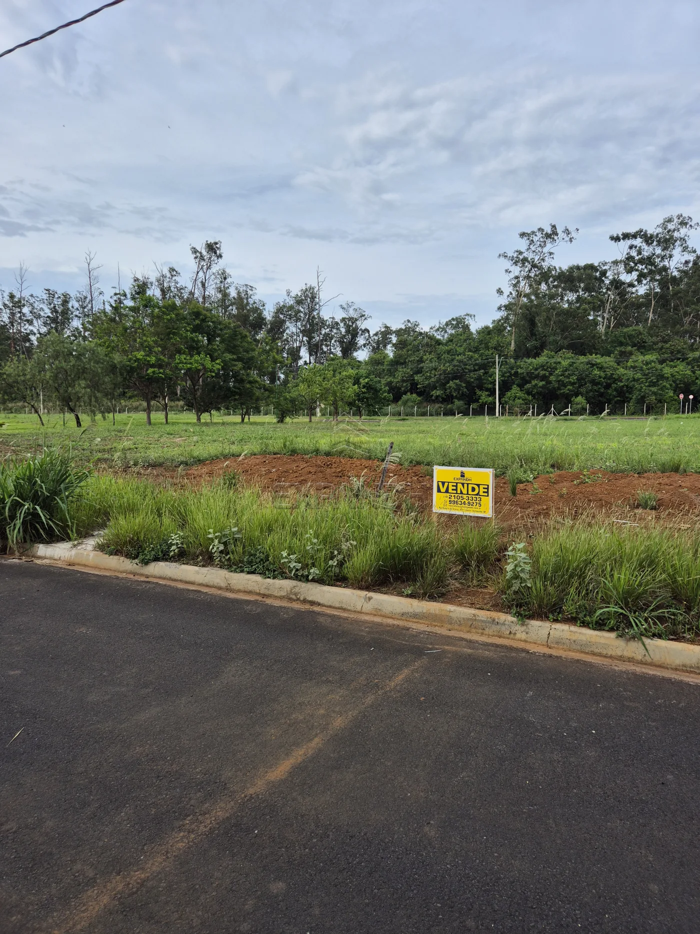 Comprar Terrenos / Padr&atilde;o em Sert&atilde;ozinho R$ 132.000,00 - Foto 3