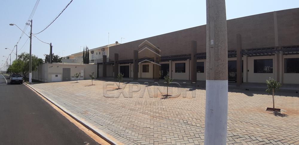 Alugar Comerciais / Sala em Sert&atilde;ozinho R$ 3.000,00 - Foto 11