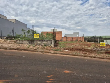 Sertaozinho Jardim das Araucarias Terreno Venda R$280.000,00  Area do terreno 500.00m2 