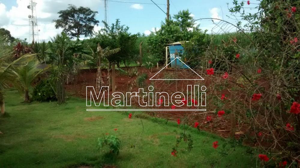 Comprar Ch&aacute;cara / Condom&iacute;nio em Ribeir&atilde;o Preto R$ 600.000,00 - Foto 2