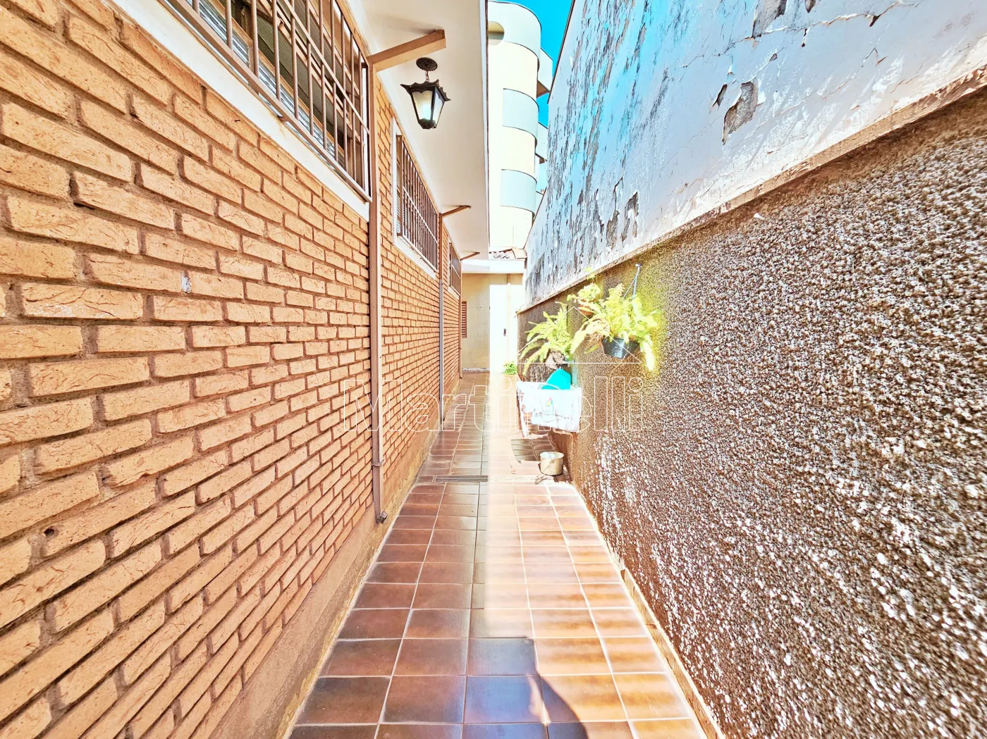 Alugar Casa / T&eacute;rrea Padr&atilde;o em Ribeir&atilde;o Preto R$ 3.600,00 - Foto 23