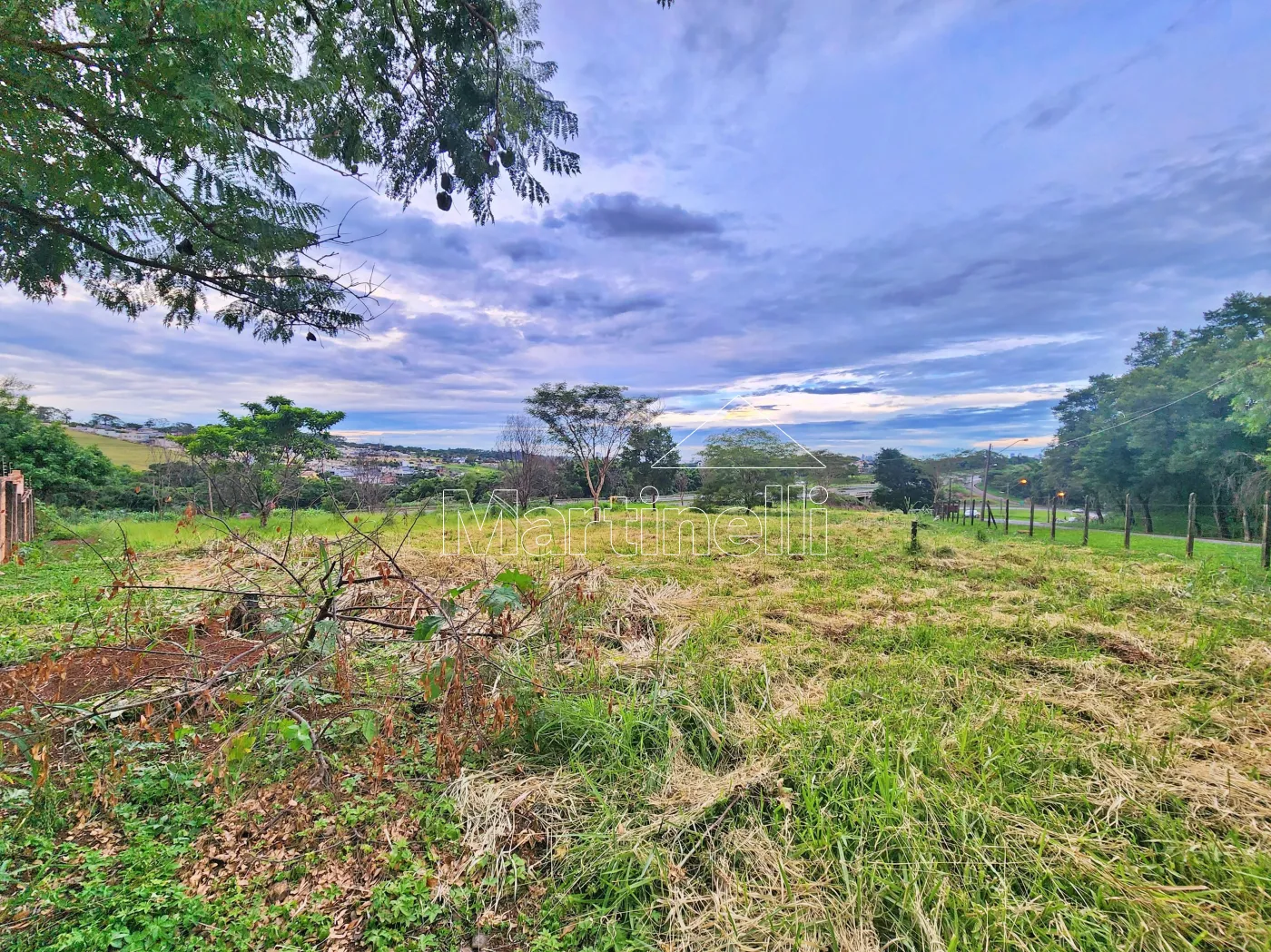 Alugar Terreno / Comercial em Ribeir&atilde;o Preto R$ 11.500,00 - Foto 1