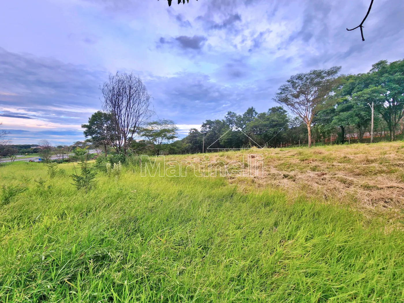 Alugar Terreno / Comercial em Ribeir&atilde;o Preto R$ 11.500,00 - Foto 2