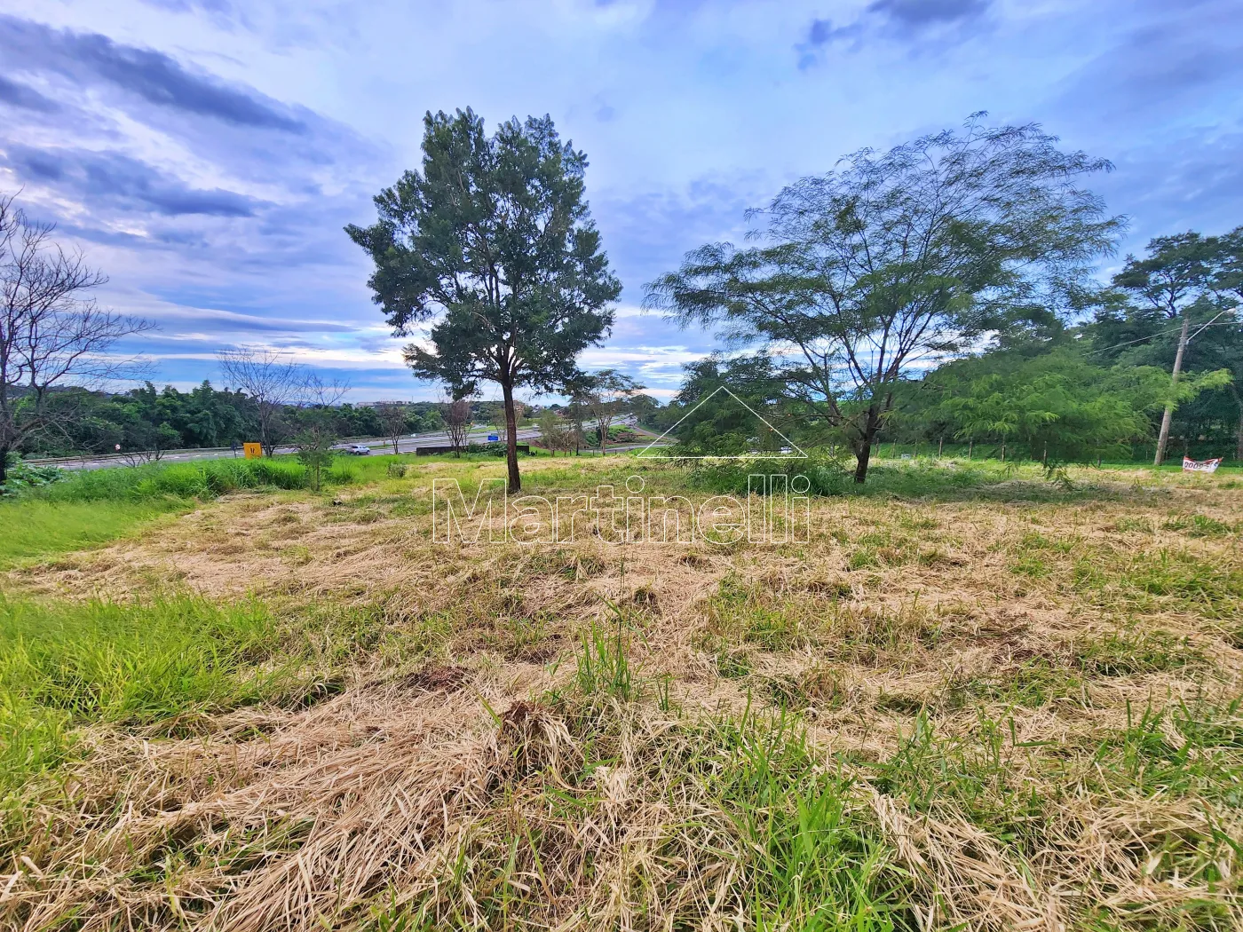 Alugar Terreno / Comercial em Ribeir&atilde;o Preto R$ 11.500,00 - Foto 4
