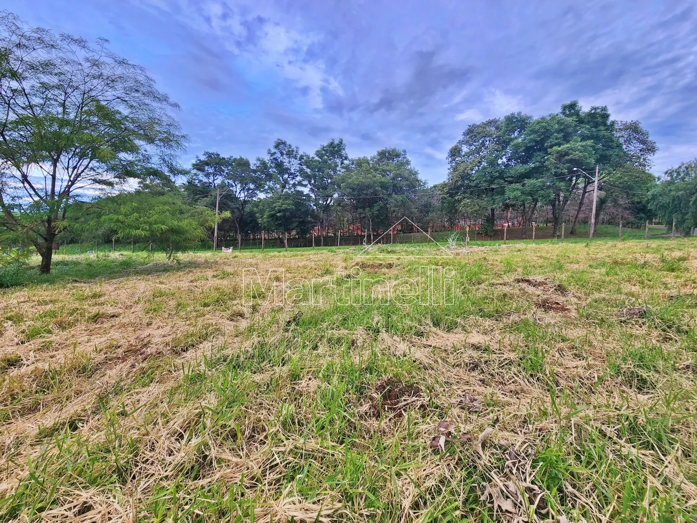 Alugar Terreno / Comercial em Ribeir&atilde;o Preto R$ 11.500,00 - Foto 5