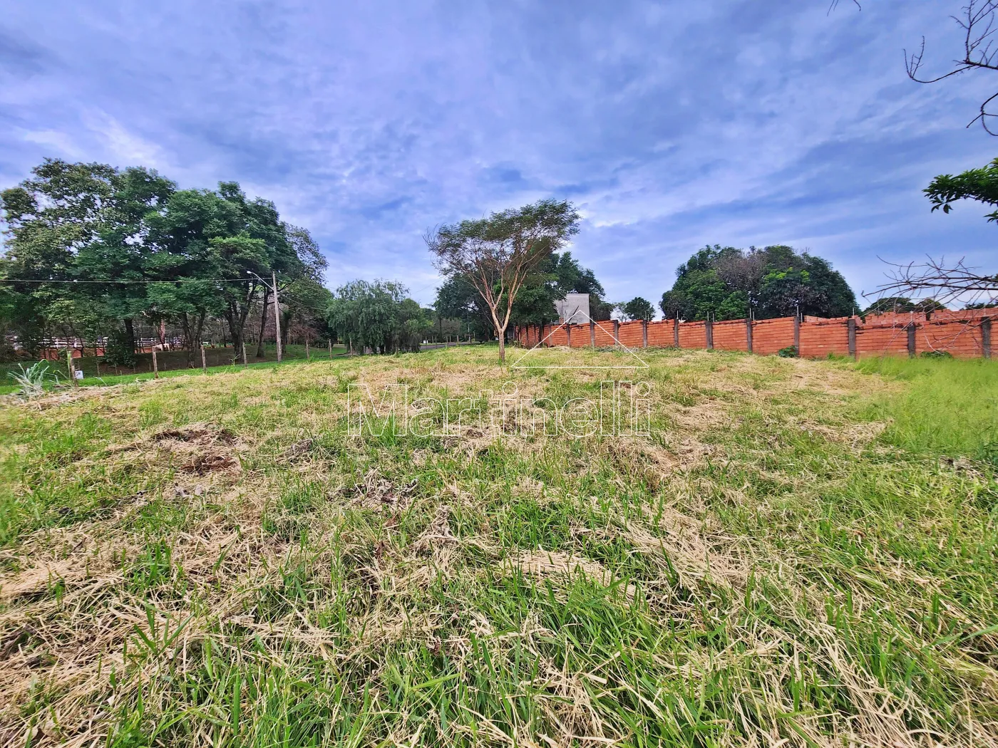 Alugar Terreno / Comercial em Ribeir&atilde;o Preto R$ 11.500,00 - Foto 6