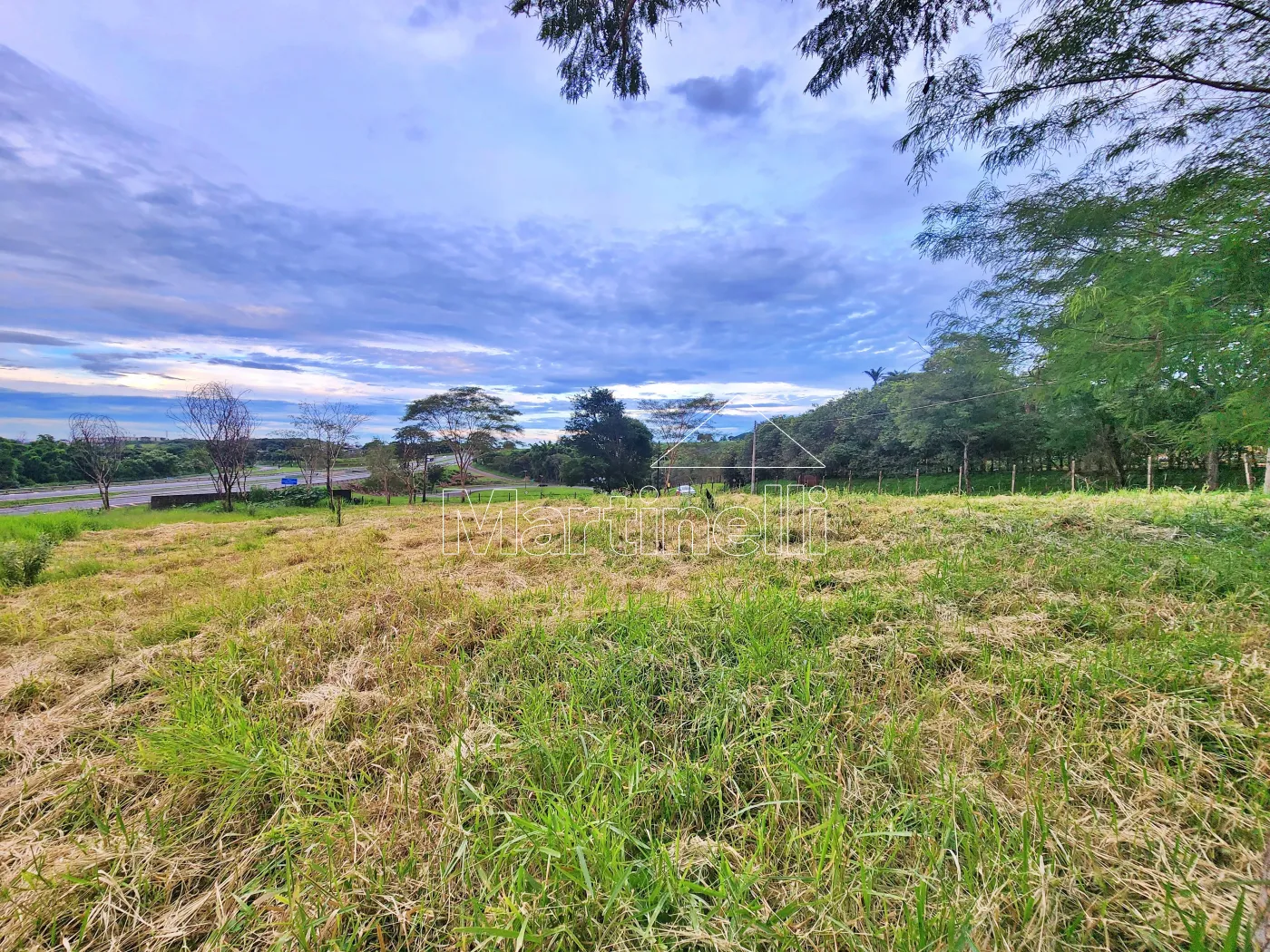 Alugar Terreno / Comercial em Ribeir&atilde;o Preto R$ 11.500,00 - Foto 7