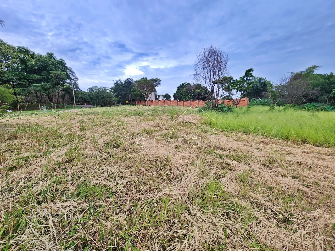Alugar Terreno / Comercial em Ribeir&atilde;o Preto R$ 11.500,00 - Foto 8
