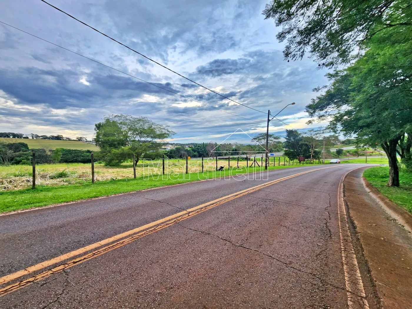 Alugar Terreno / Comercial em Ribeir&atilde;o Preto R$ 11.500,00 - Foto 12