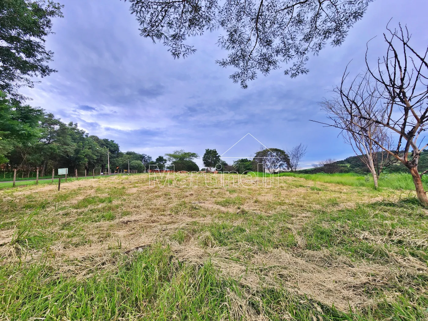 Alugar Terreno / Comercial em Ribeir&atilde;o Preto R$ 11.500,00 - Foto 9