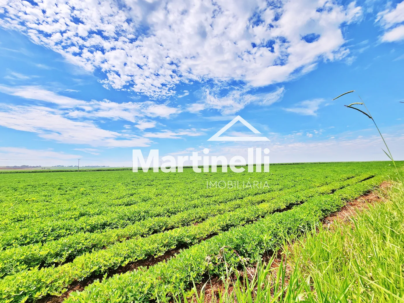 Comprar Terreno / Comercial em Ribeir&atilde;o Preto R$ 31.600.000,00 - Foto 5