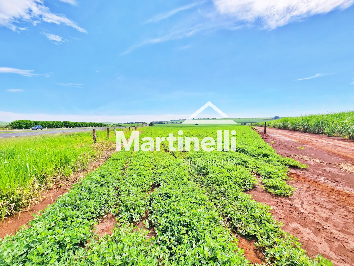 Comprar Terreno / Comercial em Ribeir&atilde;o Preto R$ 31.600.000,00 - Foto 6