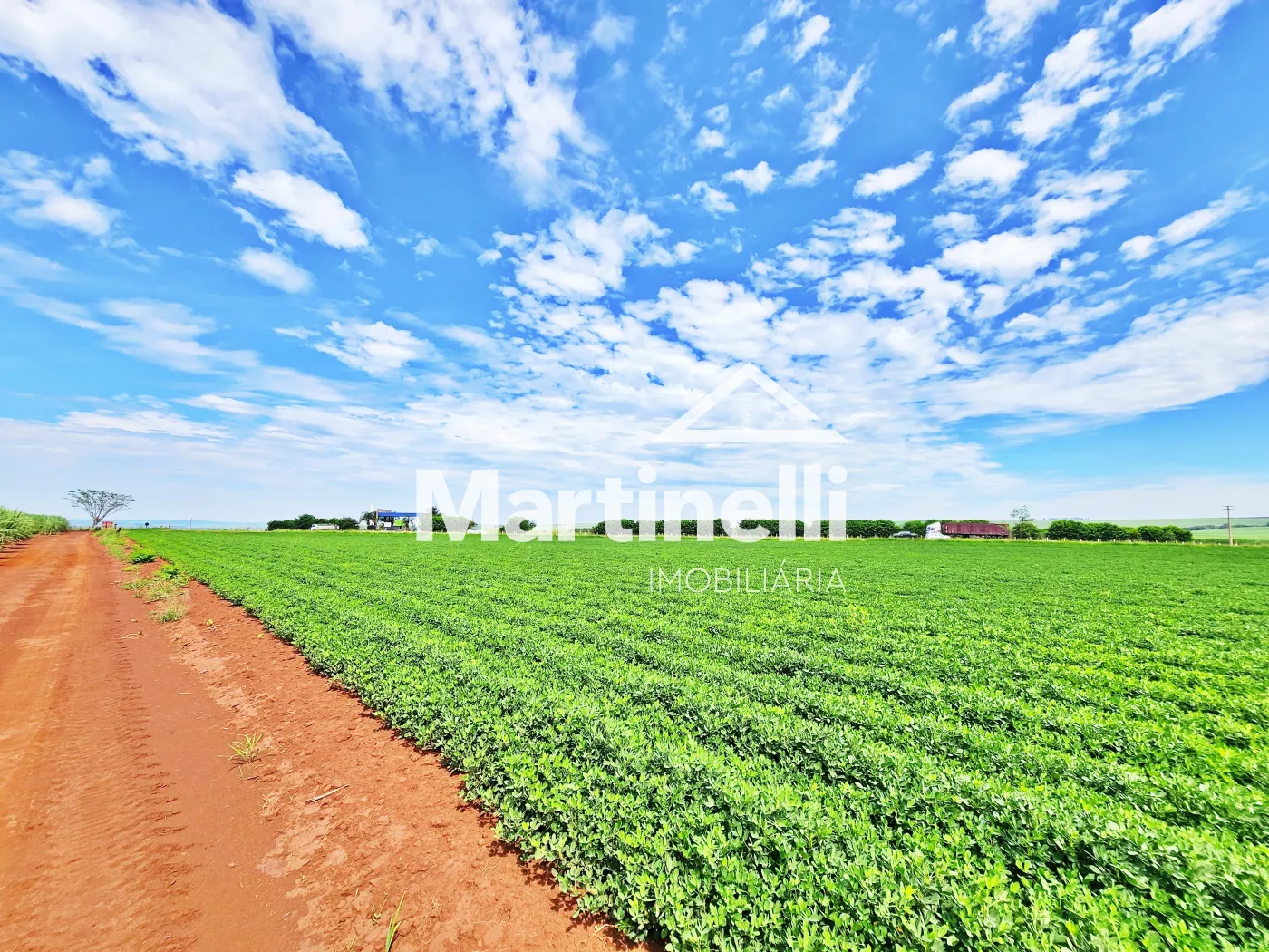 Comprar Terreno / Comercial em Ribeir&atilde;o Preto R$ 31.600.000,00 - Foto 7