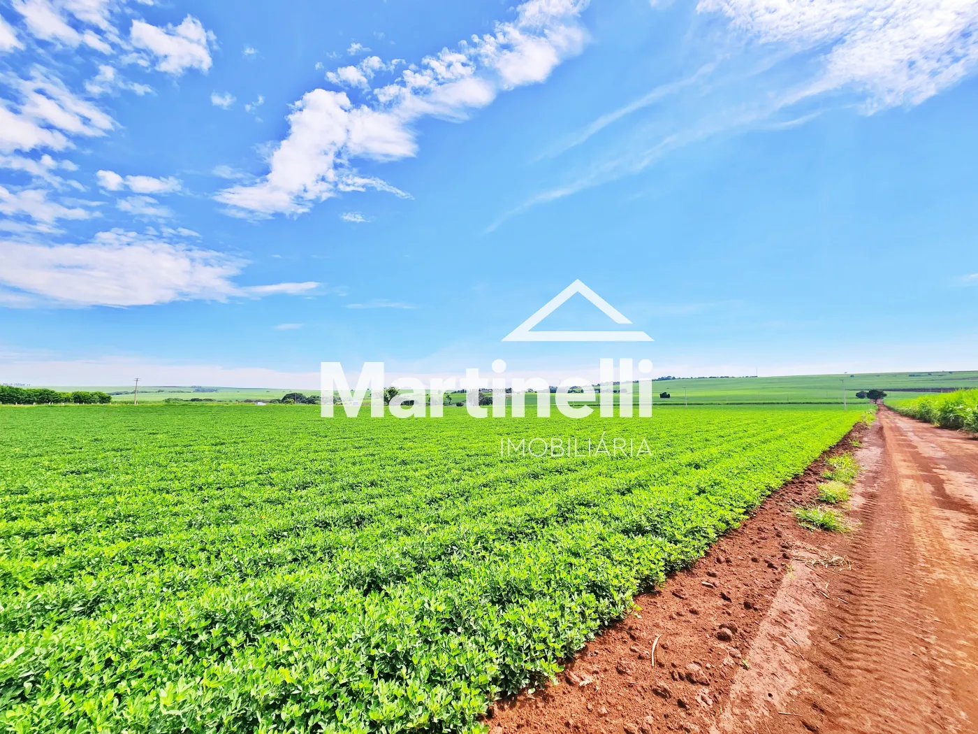 Comprar Terreno / Comercial em Ribeir&atilde;o Preto R$ 31.600.000,00 - Foto 8