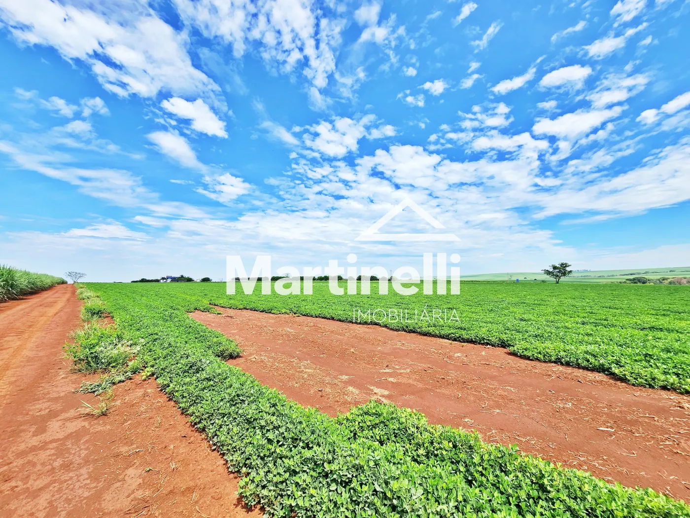 Comprar Terreno / Comercial em Ribeir&atilde;o Preto R$ 31.600.000,00 - Foto 9