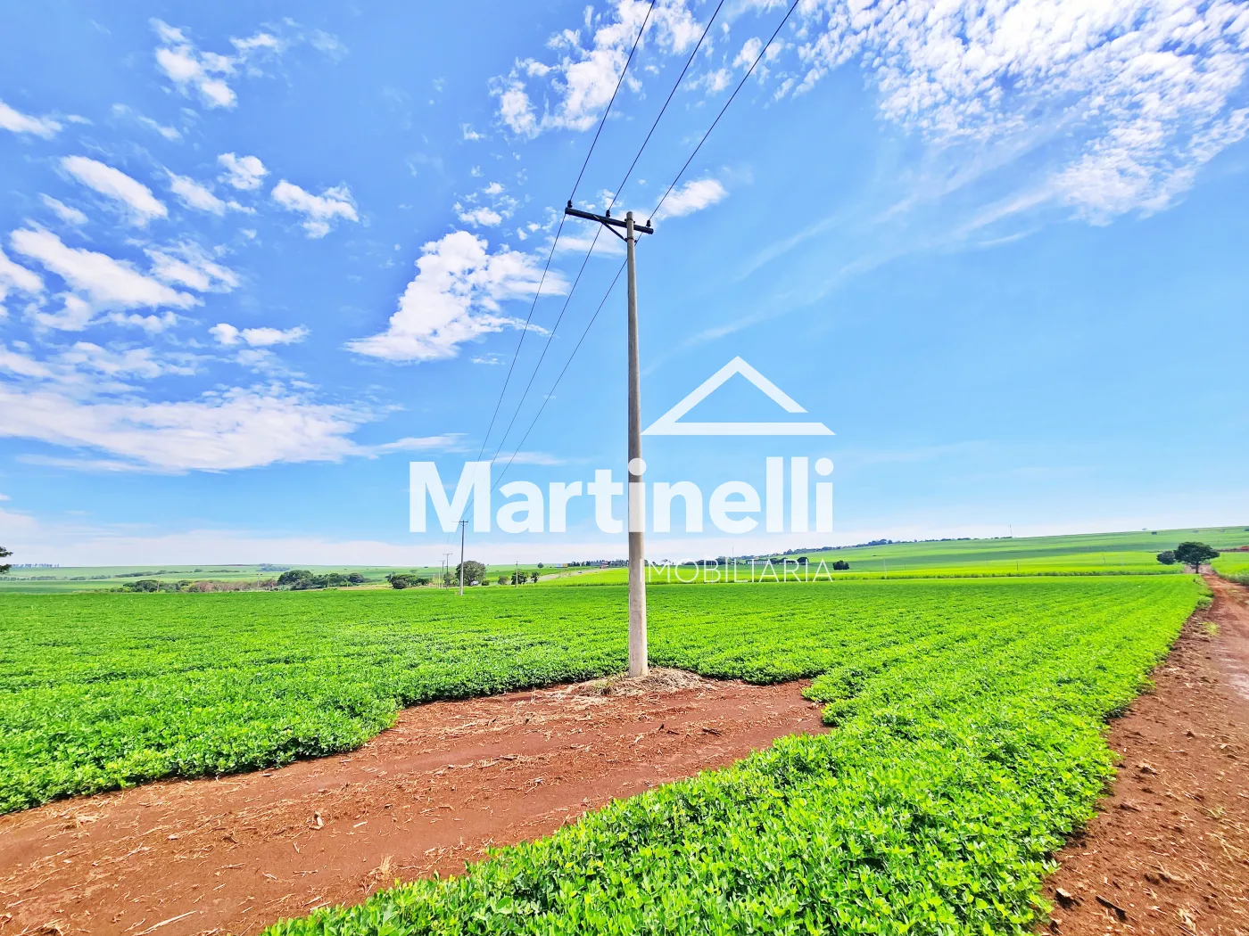 Comprar Terreno / Comercial em Ribeir&atilde;o Preto R$ 31.600.000,00 - Foto 10