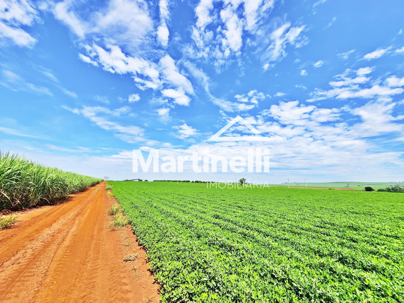 Comprar Terreno / Comercial em Ribeir&atilde;o Preto R$ 31.600.000,00 - Foto 11