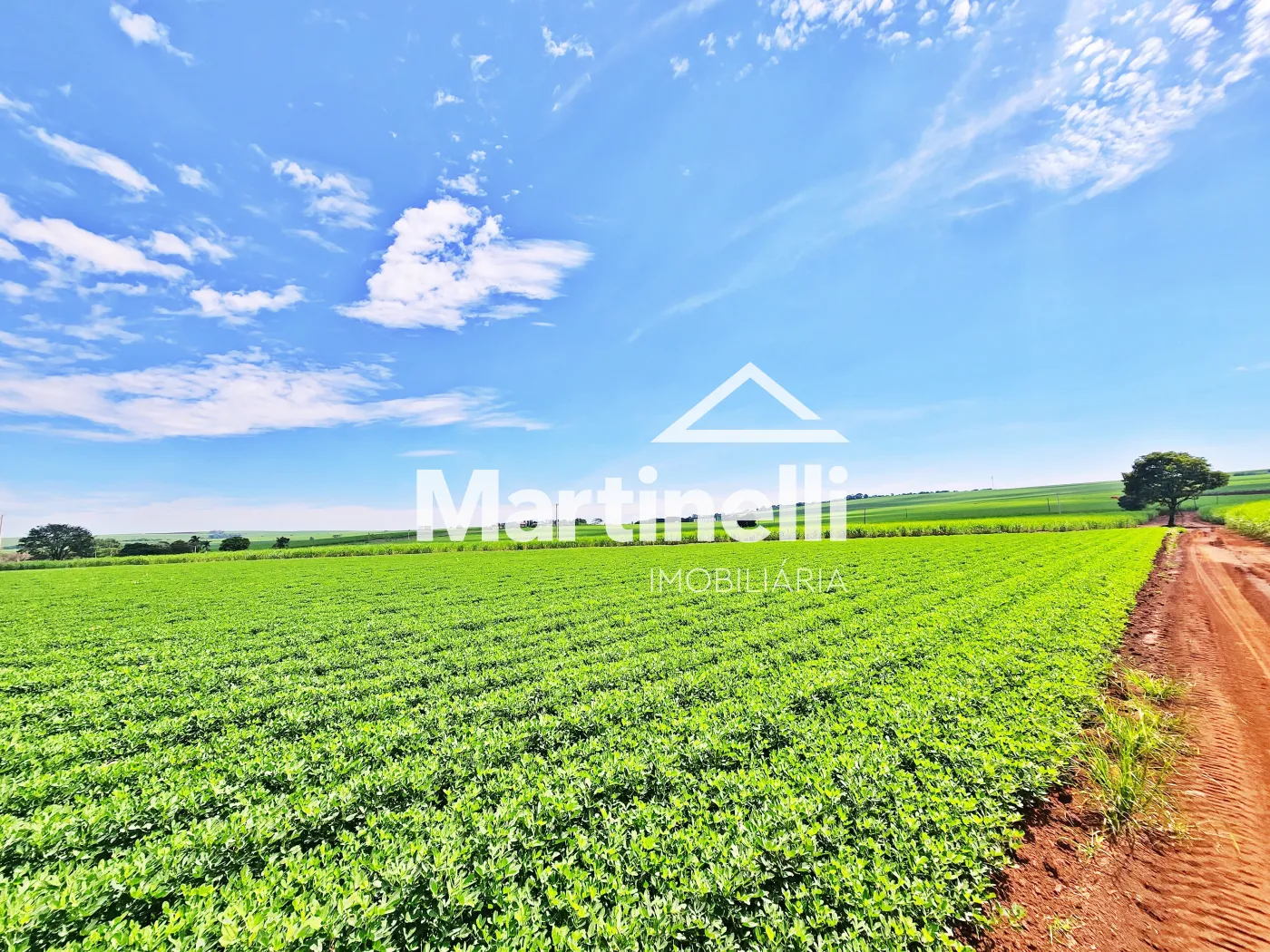 Comprar Terreno / Comercial em Ribeir&atilde;o Preto R$ 31.600.000,00 - Foto 12