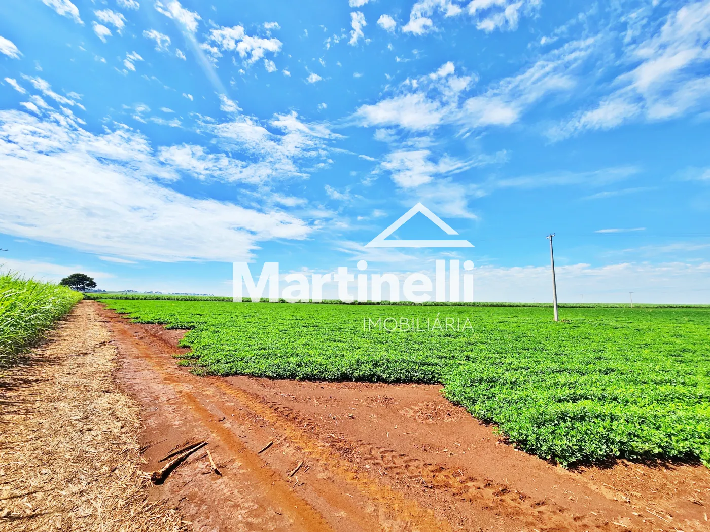 Comprar Terreno / Comercial em Ribeir&atilde;o Preto R$ 31.600.000,00 - Foto 13