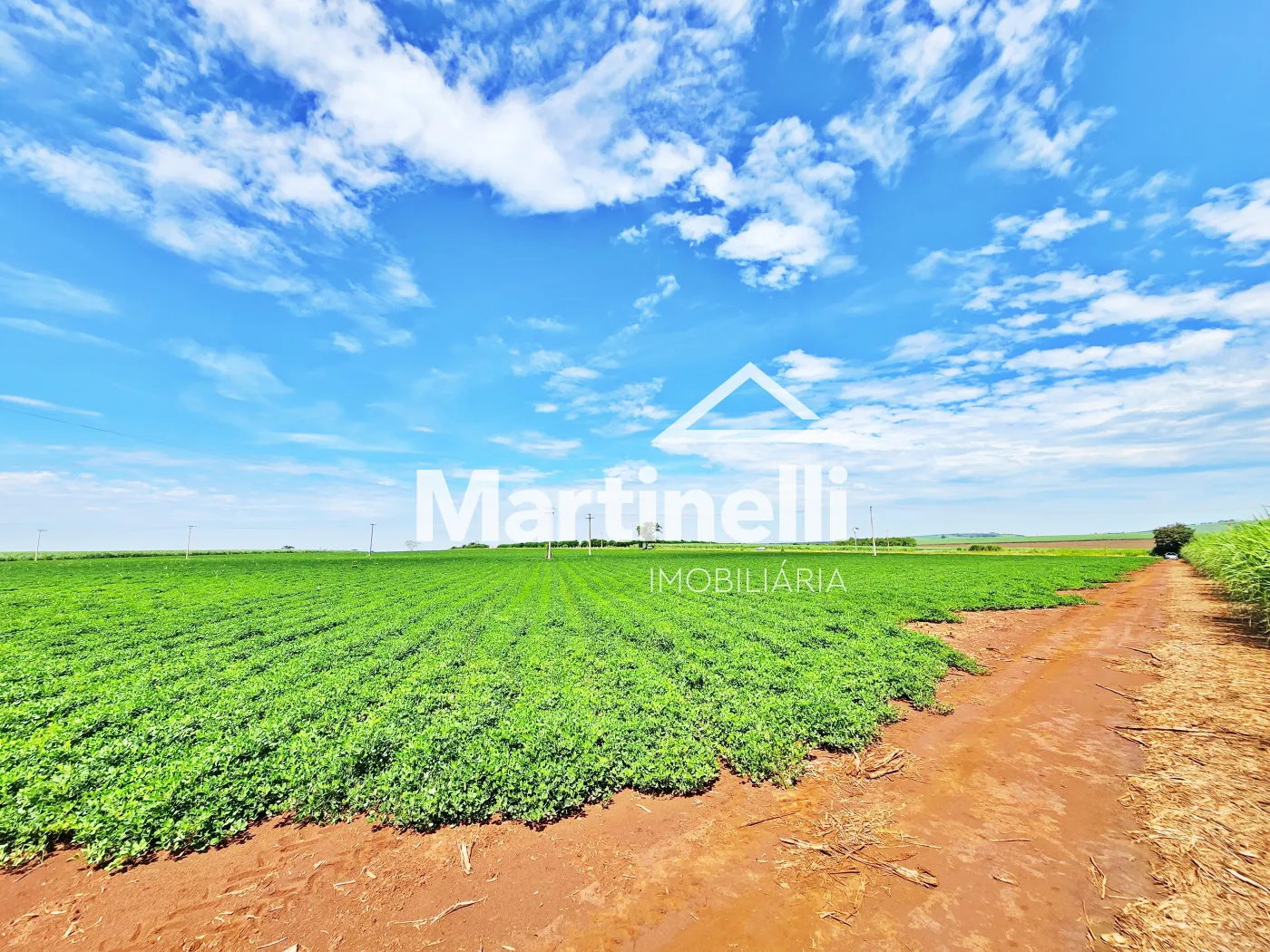 Comprar Terreno / Comercial em Ribeir&atilde;o Preto R$ 31.600.000,00 - Foto 14