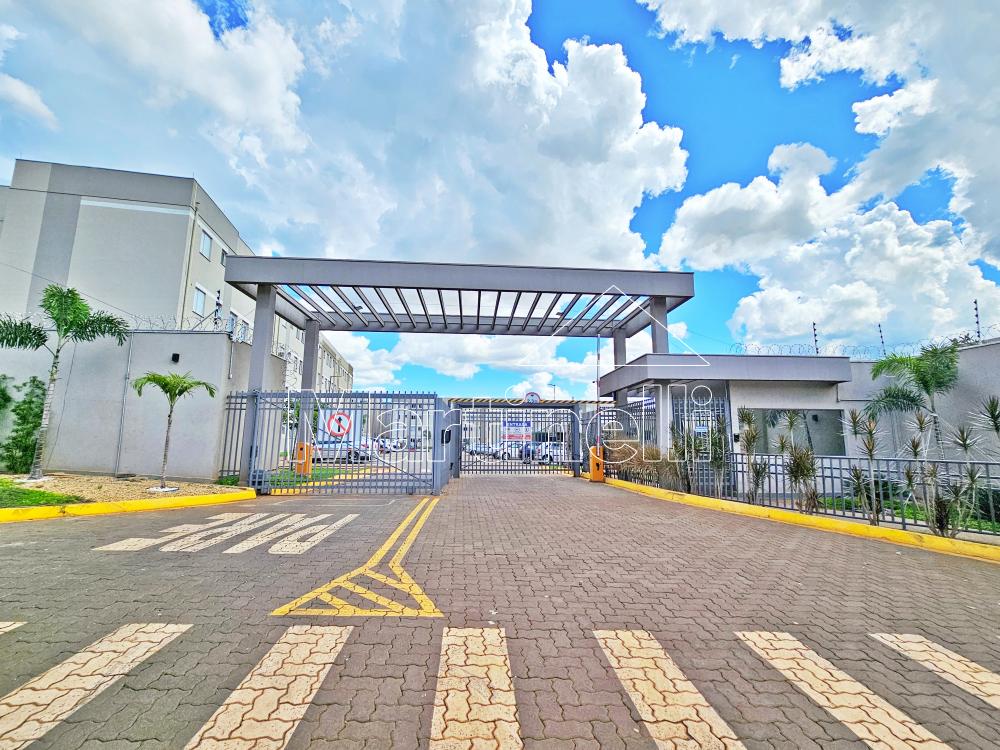 Alugar Apartamento / Padr&atilde;o em Ribeir&atilde;o Preto R$ 700,00 - Foto 13