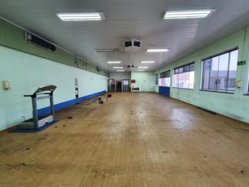 Ribeirao Preto Lagoinha comercial Venda R$1.200.000,00  8 Vagas Area do terreno 250.00m2 Area construida 540.00m2