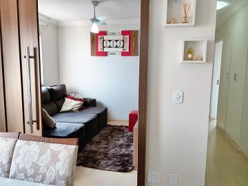 Ribeirao Preto Presidente Medici Apartamento Venda R$320.000,00 Condominio R$550,00 3 Dormitorios 1 Vaga 