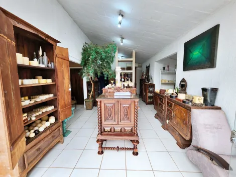 Ribeirao Preto Jardim America comercial Venda R$1.070.000,00 2 Dormitorios 5 Vagas Area do terreno 404.00m2 Area construida 308.00m2