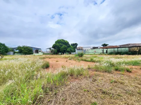 Ribeirao Preto Vila Elisa Salao Locacao R$ 16.000,00  Area do terreno 5620.00m2 Area construida 954.00m2