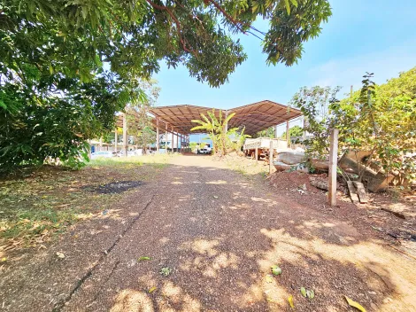 Ribeirao Preto Lagoinha comercial Locacao R$ 8.000,00 Area construida 700.00m2
