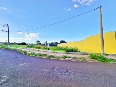 Ribeirao Preto Parque das Oliveiras Comercial Venda R$1.940.000,00  Area do terreno 3232.00m2 