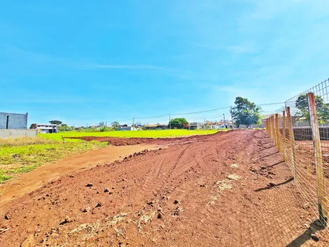 Ribeirao Preto Parque das Oliveiras Terreno Venda R$715.000,00  Area do terreno 1430.00m2 