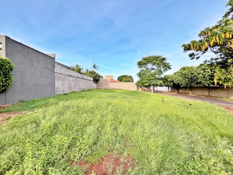 Cravinhos Jardim Alto das Acacias Terreno Venda R$330.000,00 Condominio R$600,00  Area do terreno 542.00m2 