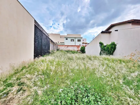 Ribeirao Preto Parque dos Bandeirantes Terreno Venda R$260.000,00  Area do terreno 250.00m2 