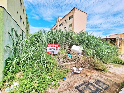 Ribeirao Preto Presidente Medici Terreno Venda R$280.000,00  Area do terreno 395.00m2 