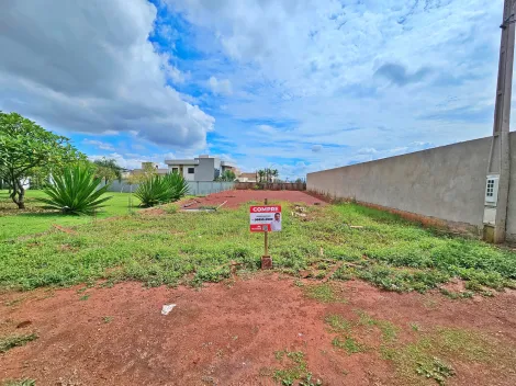 Ribeirao Preto Jardim Cybelli Comercial Venda R$650.000,00  Area do terreno 360.00m2 