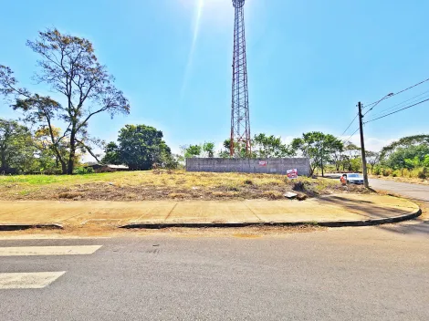Ribeirao Preto Candido Portinari Comercial Venda R$600.000,00  Area do terreno 1599.00m2 