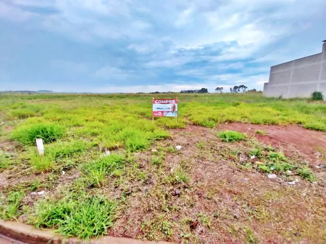 Ribeirao Preto Real Sul Terreno Venda R$400.000,00  Area do terreno 354.00m2 