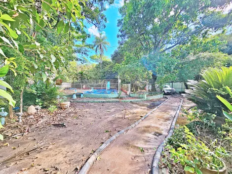 Ribeirao Preto Jardim Palmeiras Chacara Venda R$530.000,00 Condominio R$415,00 5 Dormitorios 10 Vagas Area do terreno 2400.00m2 Area construida 320.00m2