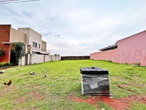 Cravinhos Cond. Ana Carolina Terreno Venda R$380.000,00 Condominio R$700,00  Area do terreno 743.00m2 