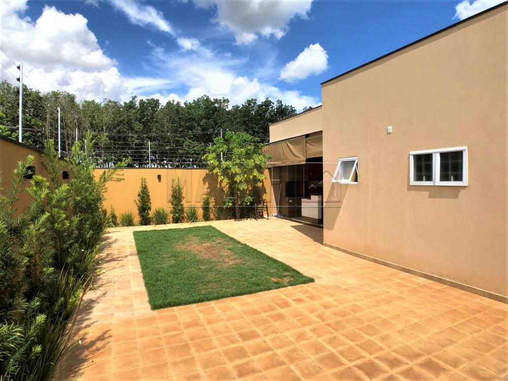 Comprar Casas / Padr&atilde;o em Ol&iacute;mpia R$ 700.000,00 - Foto 16