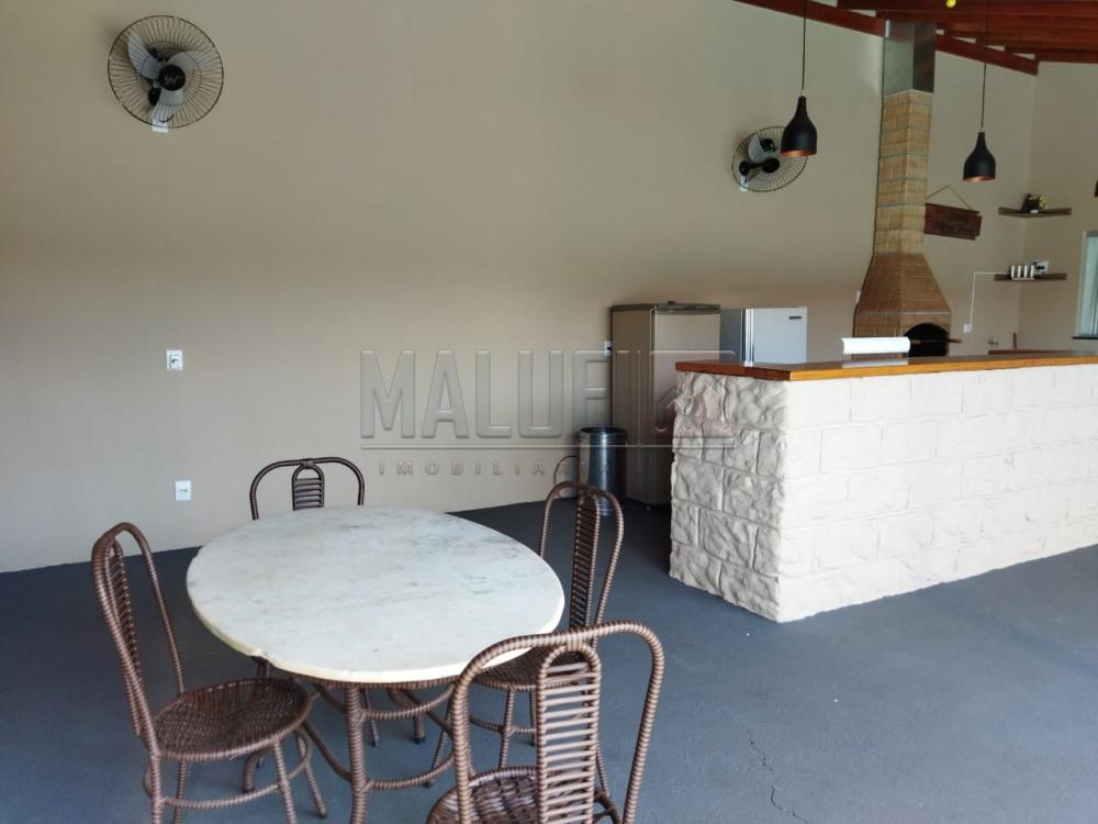 Alugar Casas / Padr&atilde;o em Ol&iacute;mpia R$ 3.500,00 - Foto 9