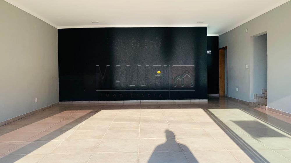 Alugar Comerciais / Pr&eacute;dio Comercial em Ol&iacute;mpia R$ 2.800,00 - Foto 1