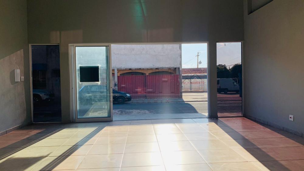 Alugar Comerciais / Pr&eacute;dio Comercial em Ol&iacute;mpia R$ 2.800,00 - Foto 2