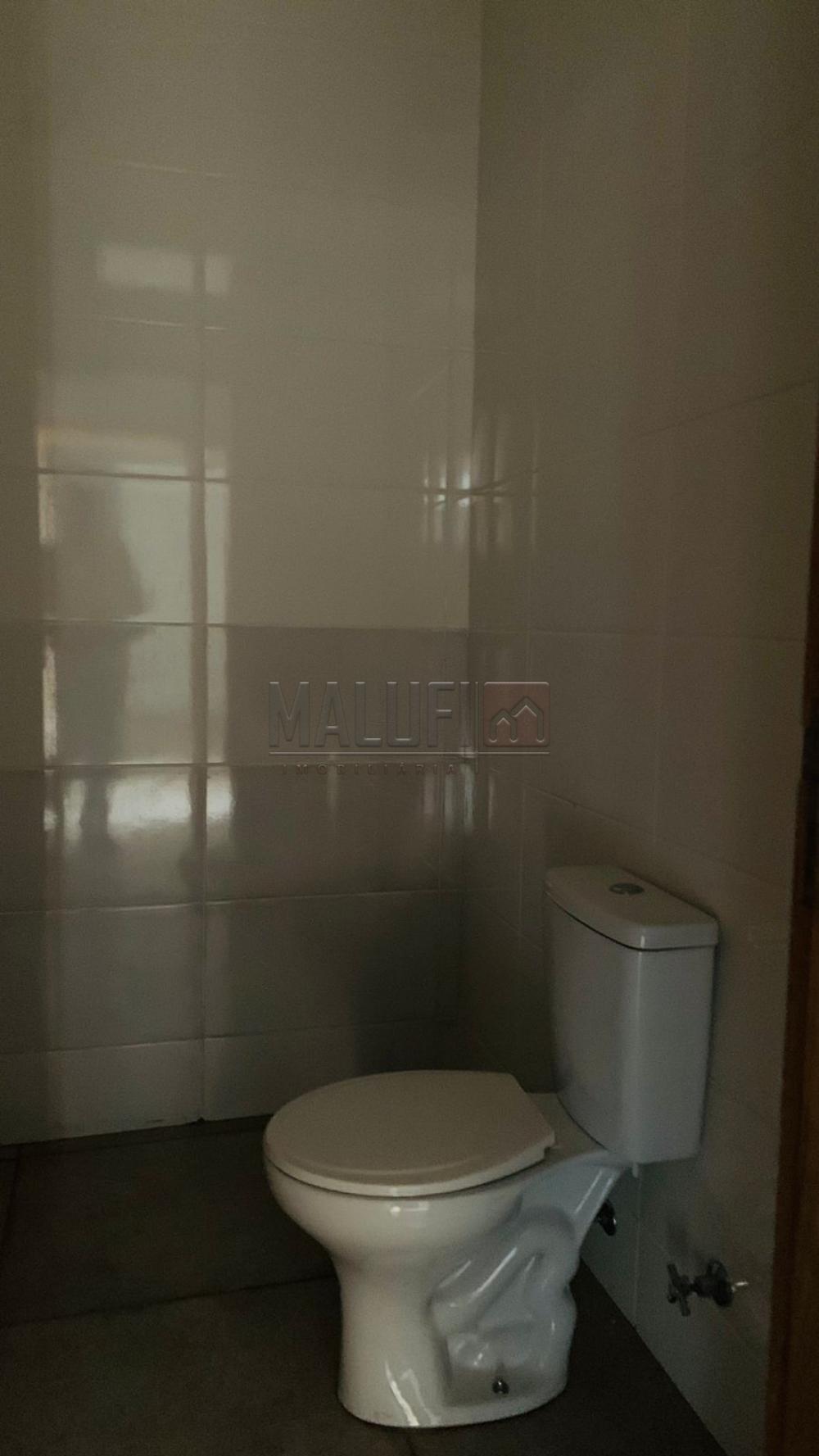 Alugar Comerciais / Pr&eacute;dio Comercial em Ol&iacute;mpia R$ 2.800,00 - Foto 8