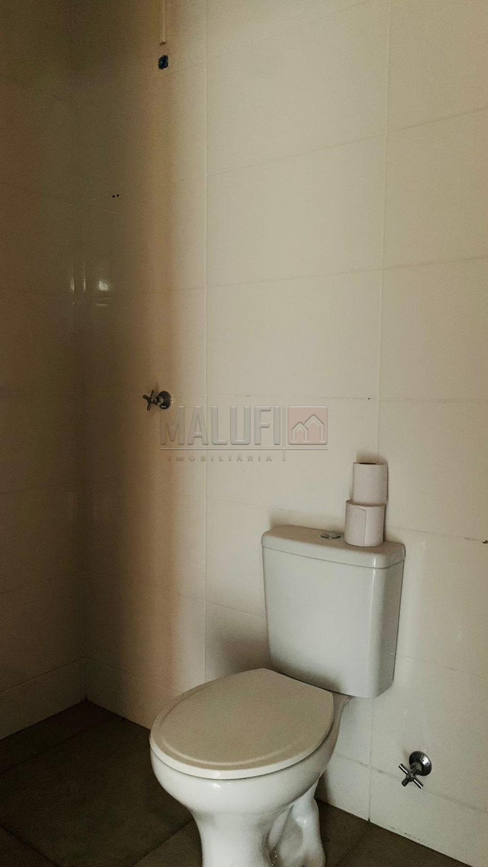 Alugar Comerciais / Pr&eacute;dio Comercial em Ol&iacute;mpia R$ 2.800,00 - Foto 7