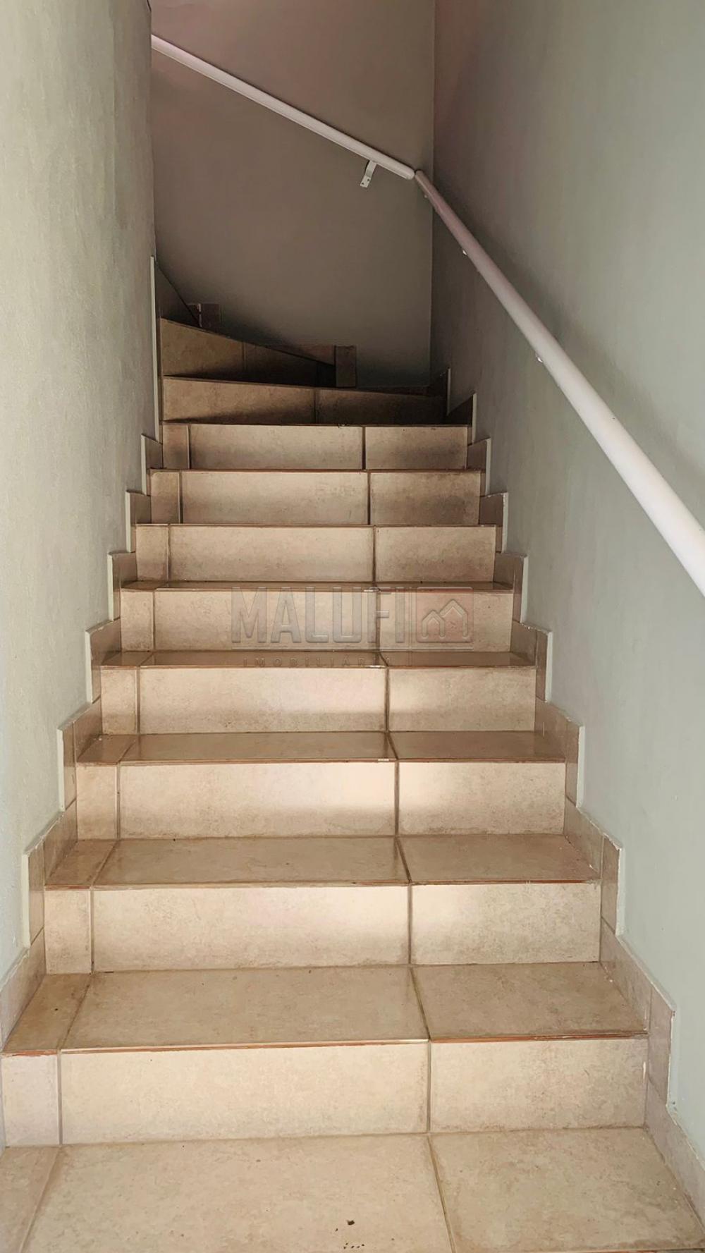 Alugar Comerciais / Pr&eacute;dio Comercial em Ol&iacute;mpia R$ 2.800,00 - Foto 9